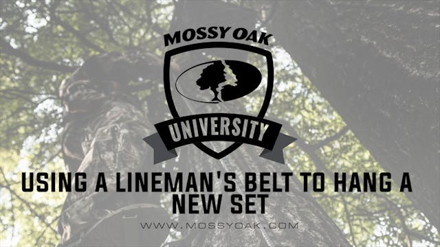 Using a Lineman's Belt When Hanging H...