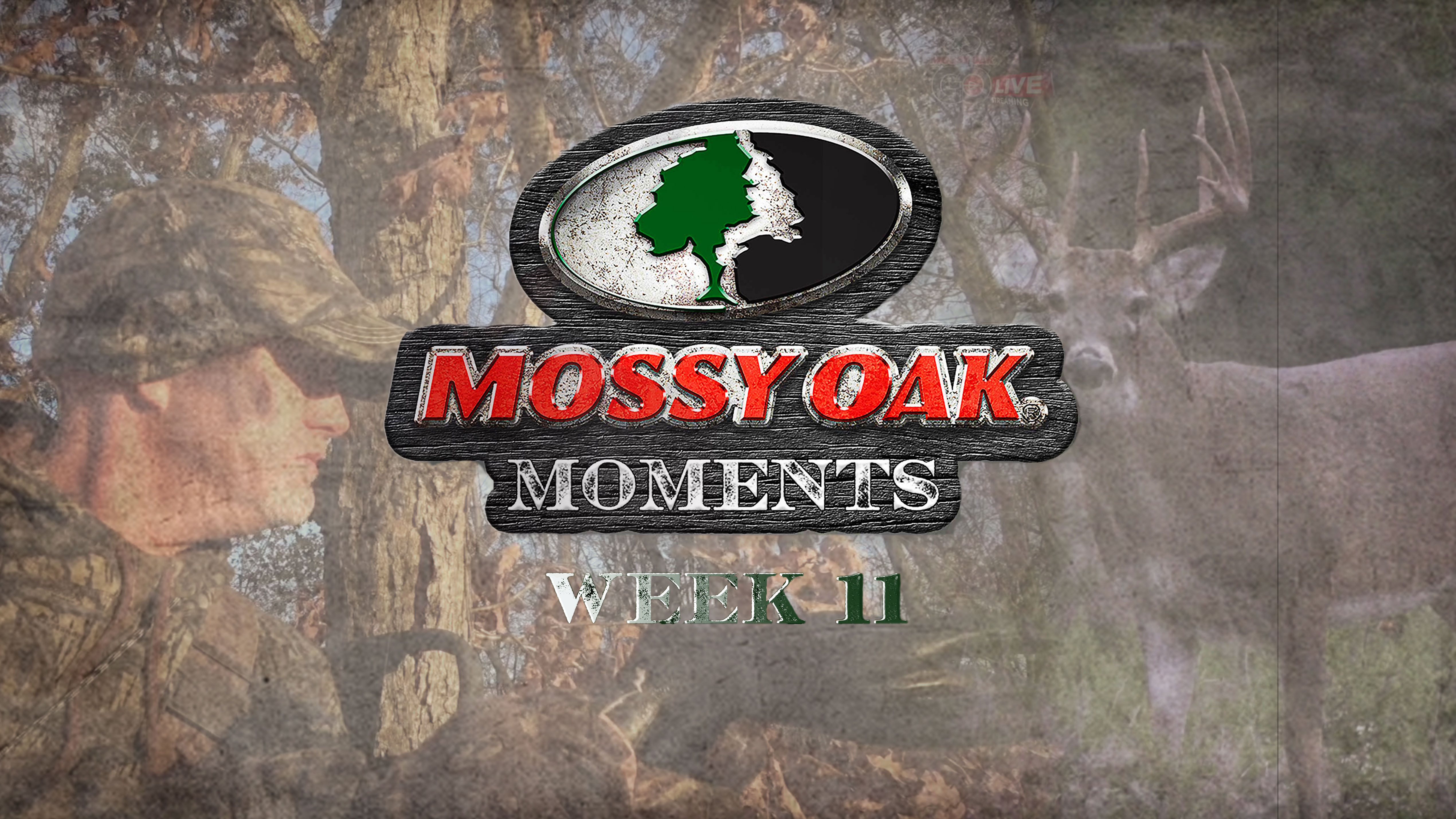 Live: 11.16.2020 Mossy Oak Moments Replay