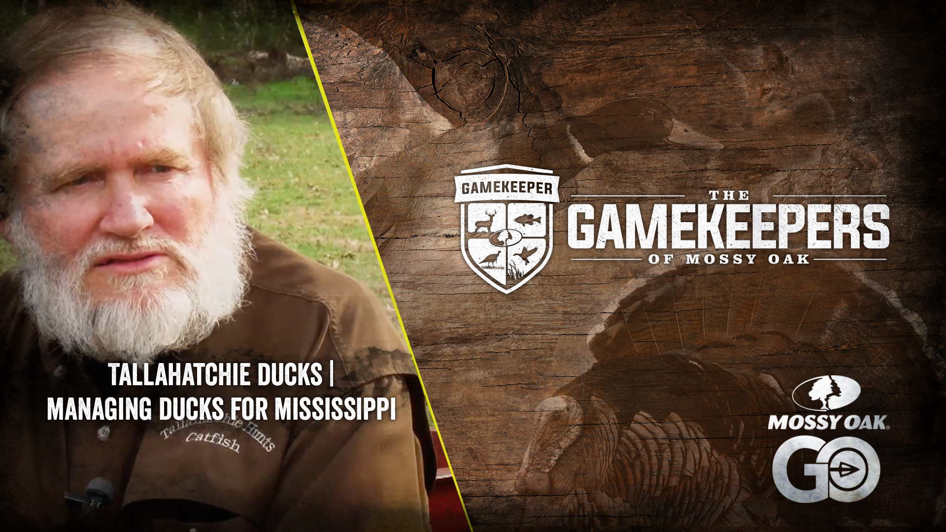 Tallahatchie Ducks • Managing for Ducks in Mississippi