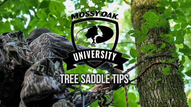 Tree Saddle How-To Series w/ Tethrd