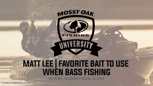 Favorite Bait To Use When Bass Fishin...