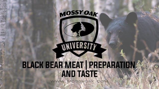 Bear Meat Preparation & Taste • MOU