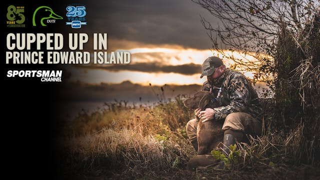 Cupped up in Prince Edward Island • D...