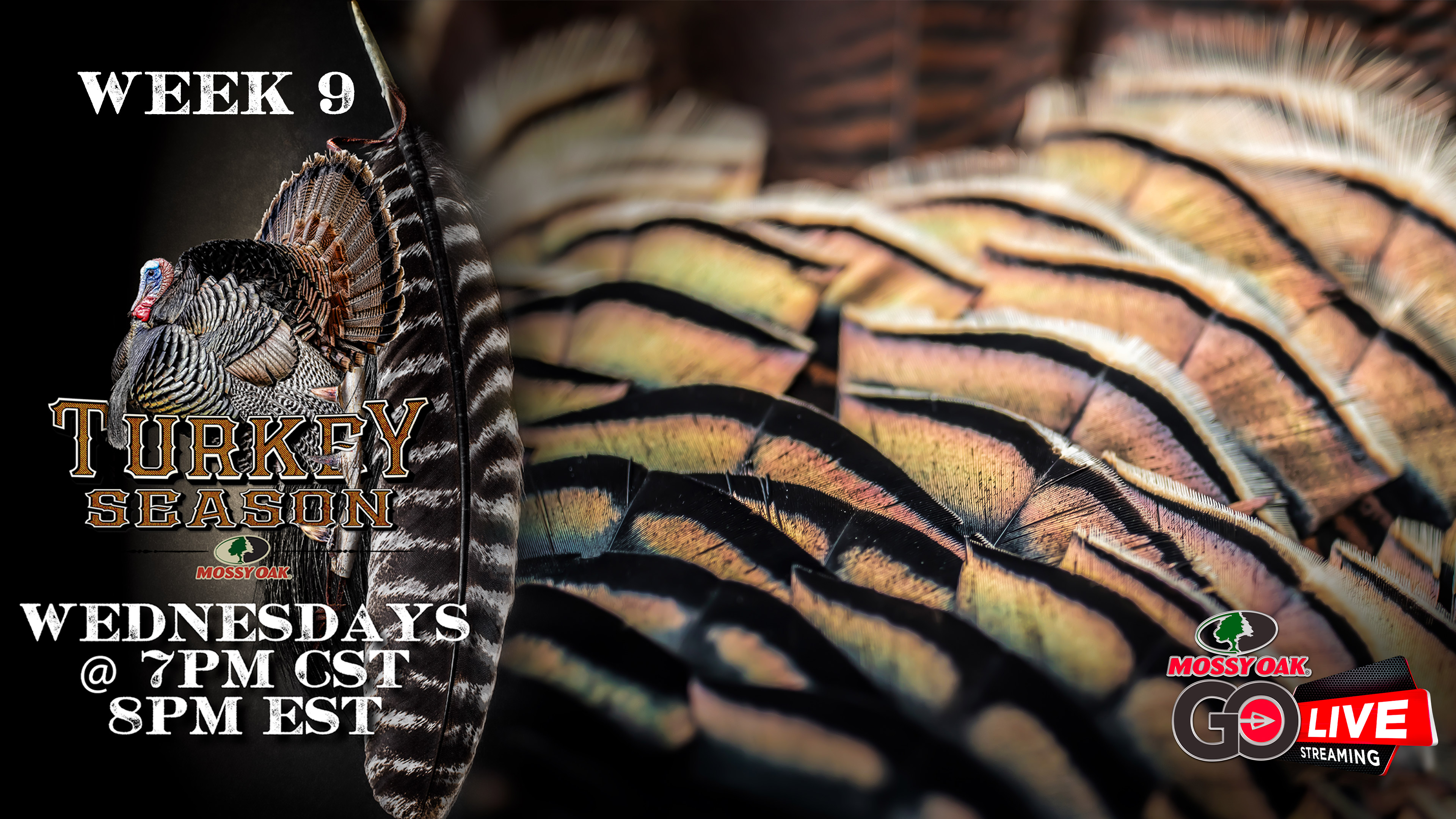 LIVE: 4.22.2020 Turkey Season Replay