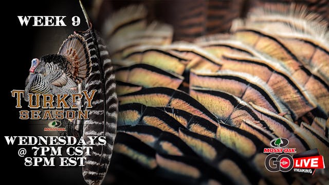 LIVE: 4.22.2020 Turkey Season Replay