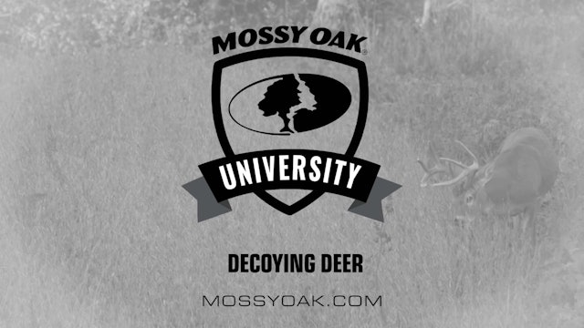How to Use a Deer Decoy • Best Practices • Mossy Oak University