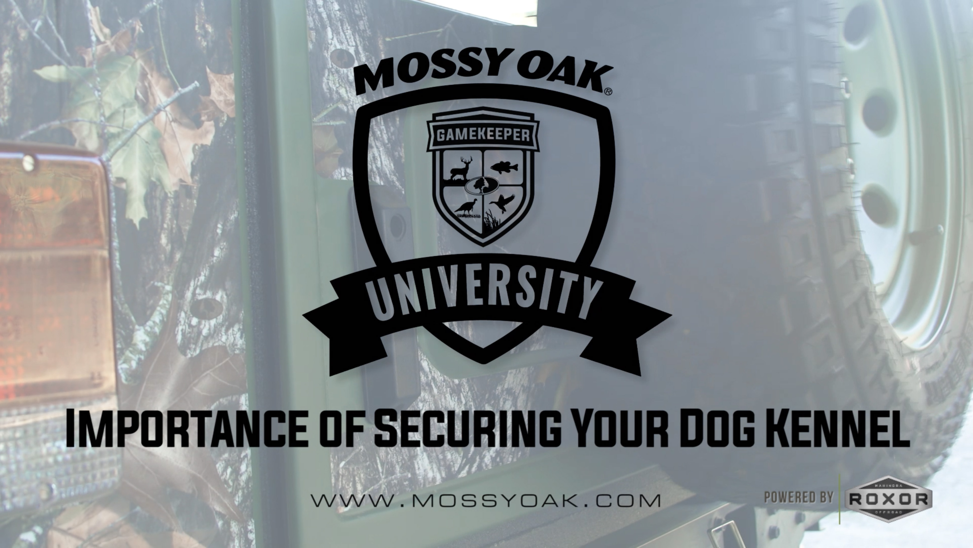 Importance of Securing Your Dog Kennel • Mossy Oak University