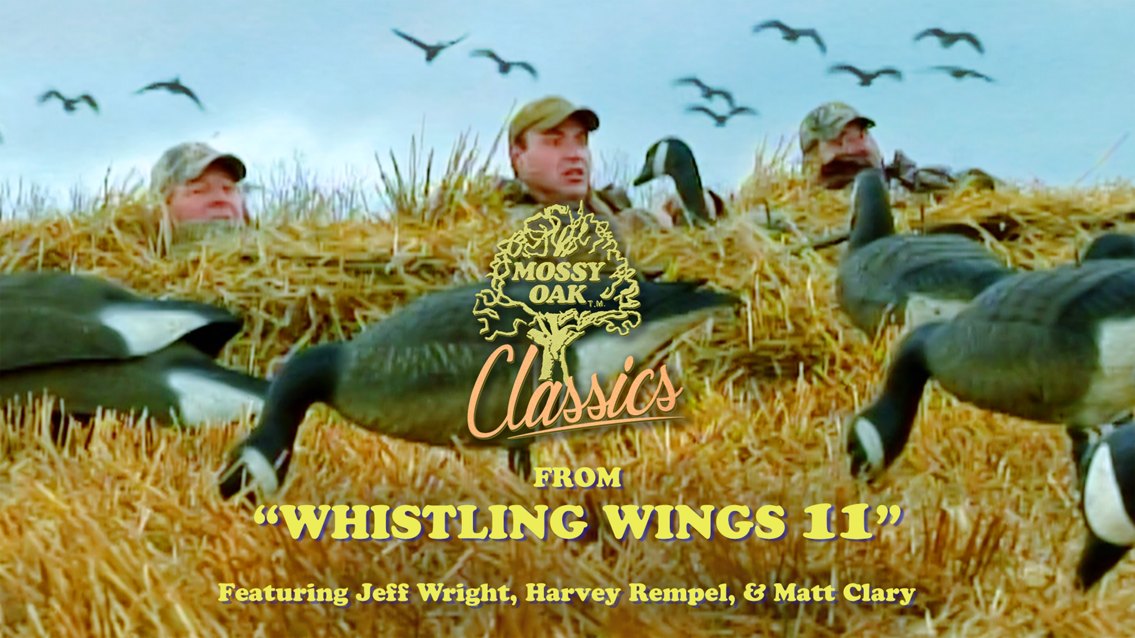 From Whistling Wings 11 w/ Jeff, Harvey, and Matt • Mossy Oak Classics