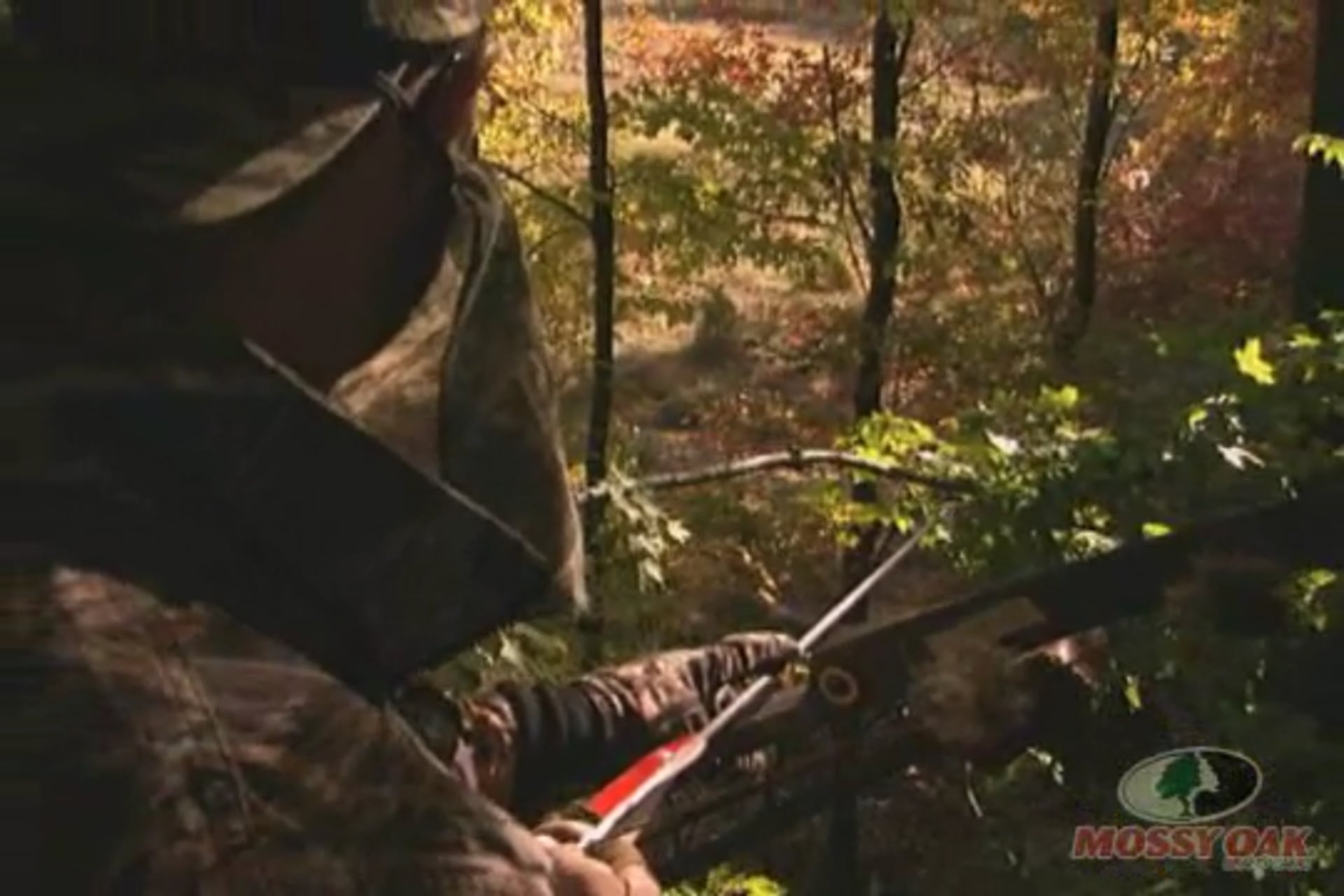 Pennsylvania Bowhunting