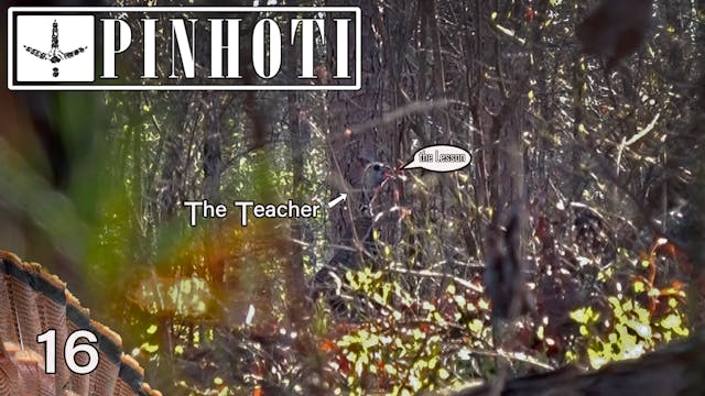 Pinhoti 2021 Ep 16 • Pinhoti Project