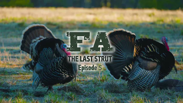 The Last Strut Episode 5 • The Gobble...