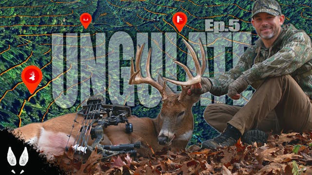 Ungulate Edition 2024 Ep5 • Pinhoti P...