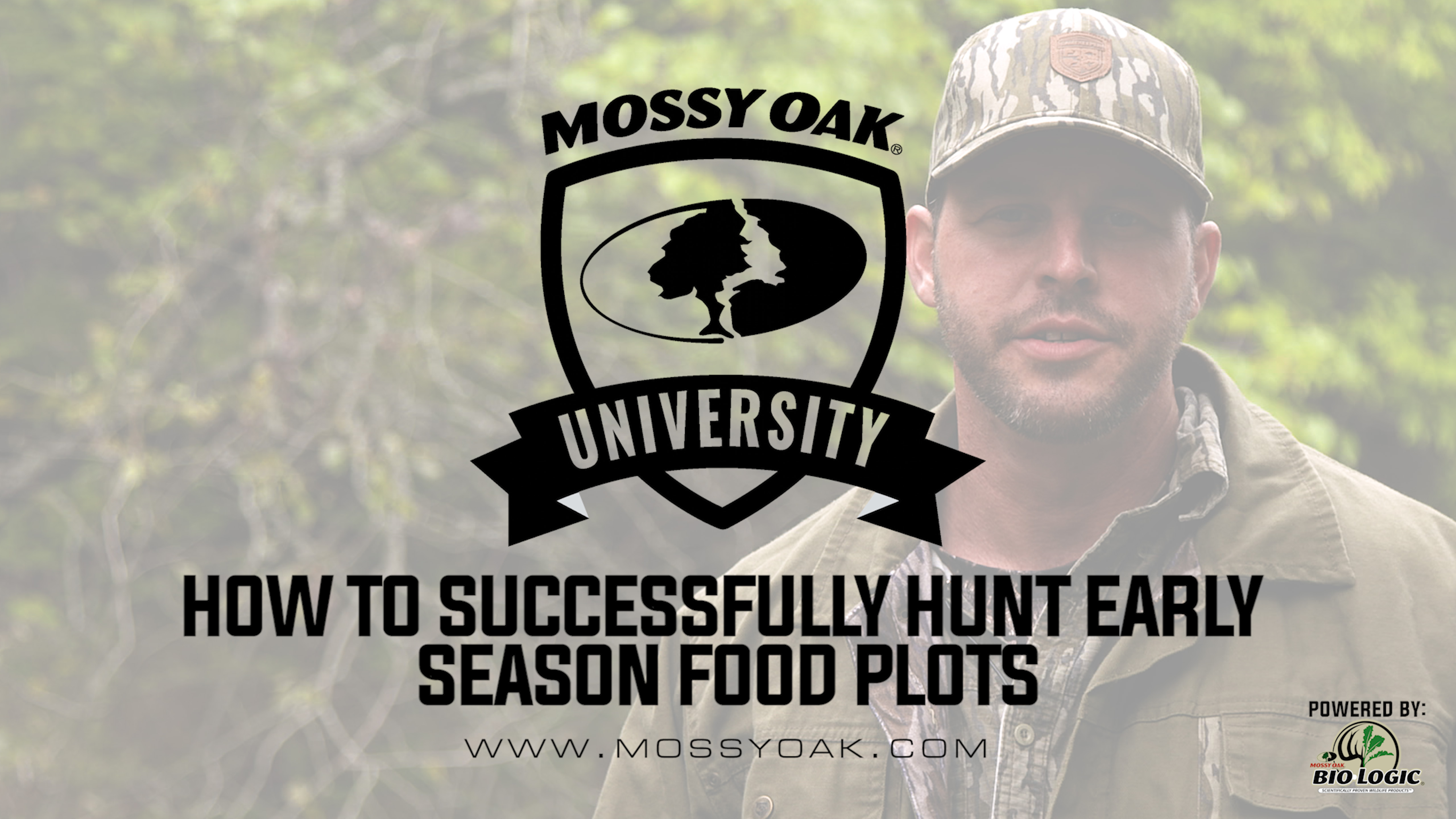 How To Be Successful Hunting Early Season Food Plots