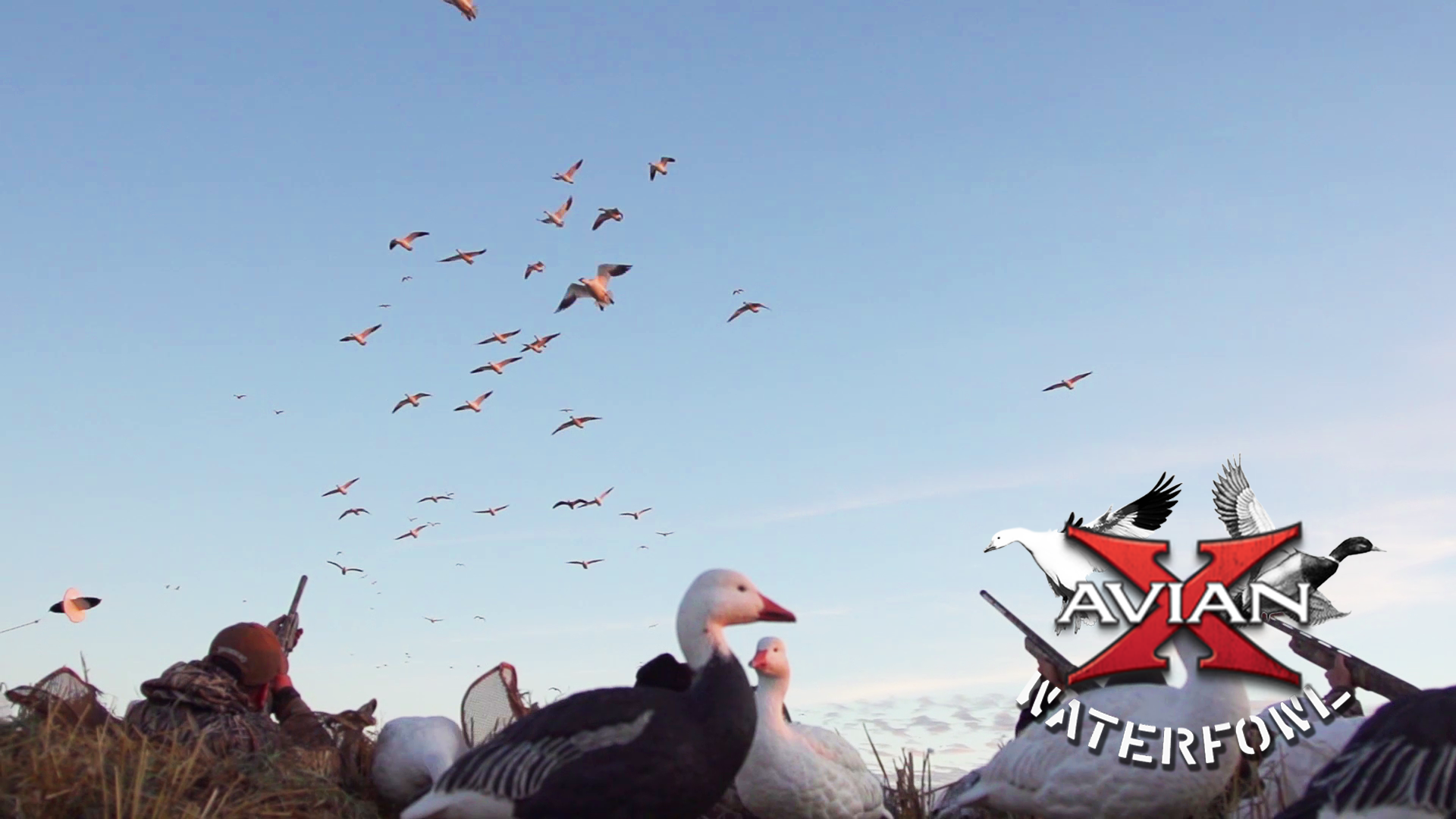 Sask Snow Storm • Avian X Waterfowl