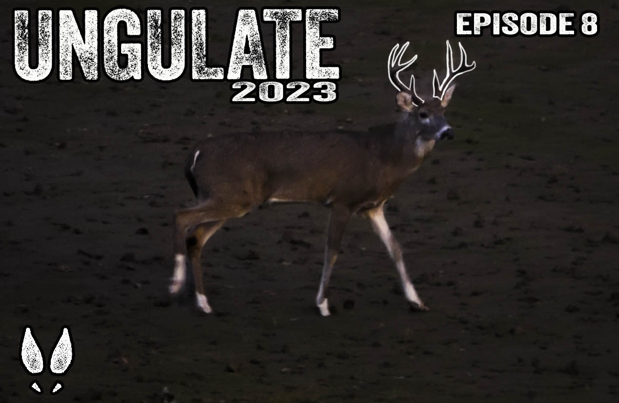 Ungulate Edition 2023 Ep8 • Pinhoti Project