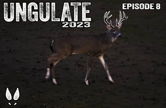 Ungulate Edition 2023 Ep8 • Pinhoti P...