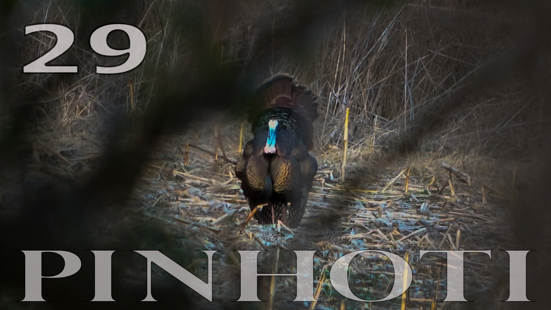 Pinhoti 2022 Ep 29 • Pinhoti Project