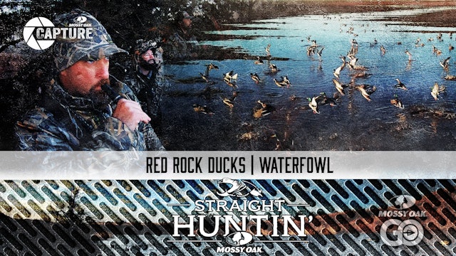 Red Rock Ducks • Straight Huntin'