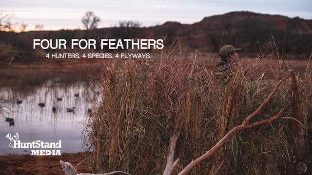 Four For Feathers