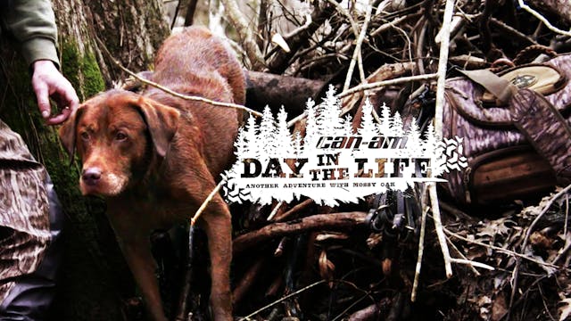 Gunner Kennels' Addison Edmonds • Day...
