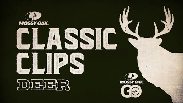 Classic Clips Deer