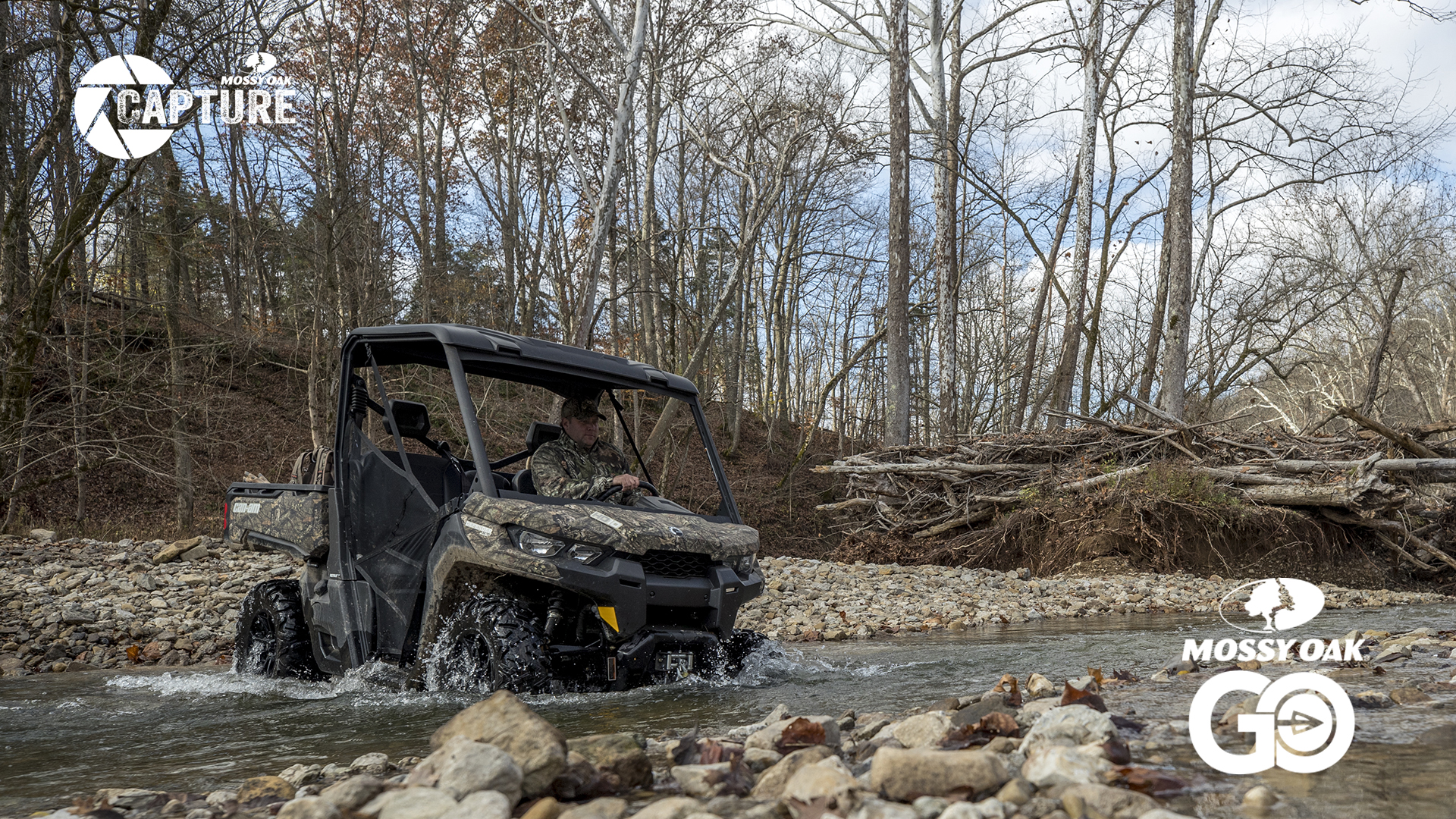 Veterans and Moose in Maine