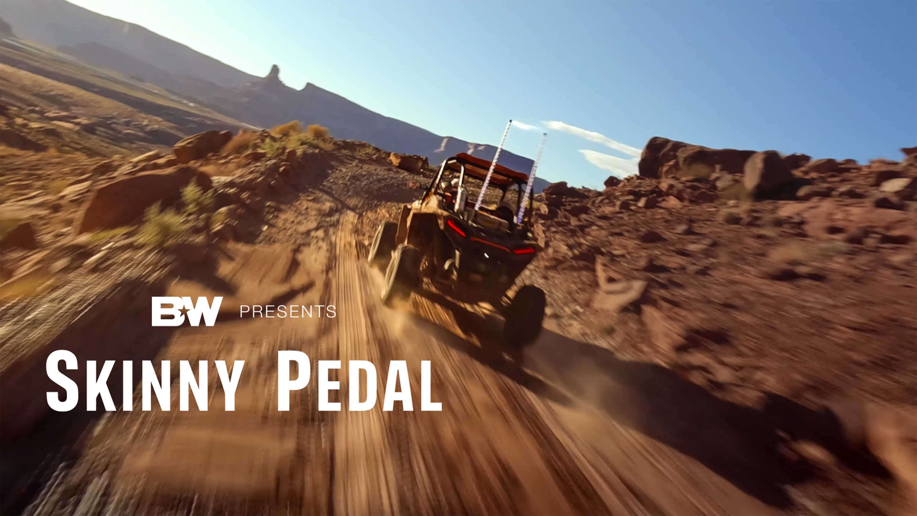 Skinny Pedal • B&W