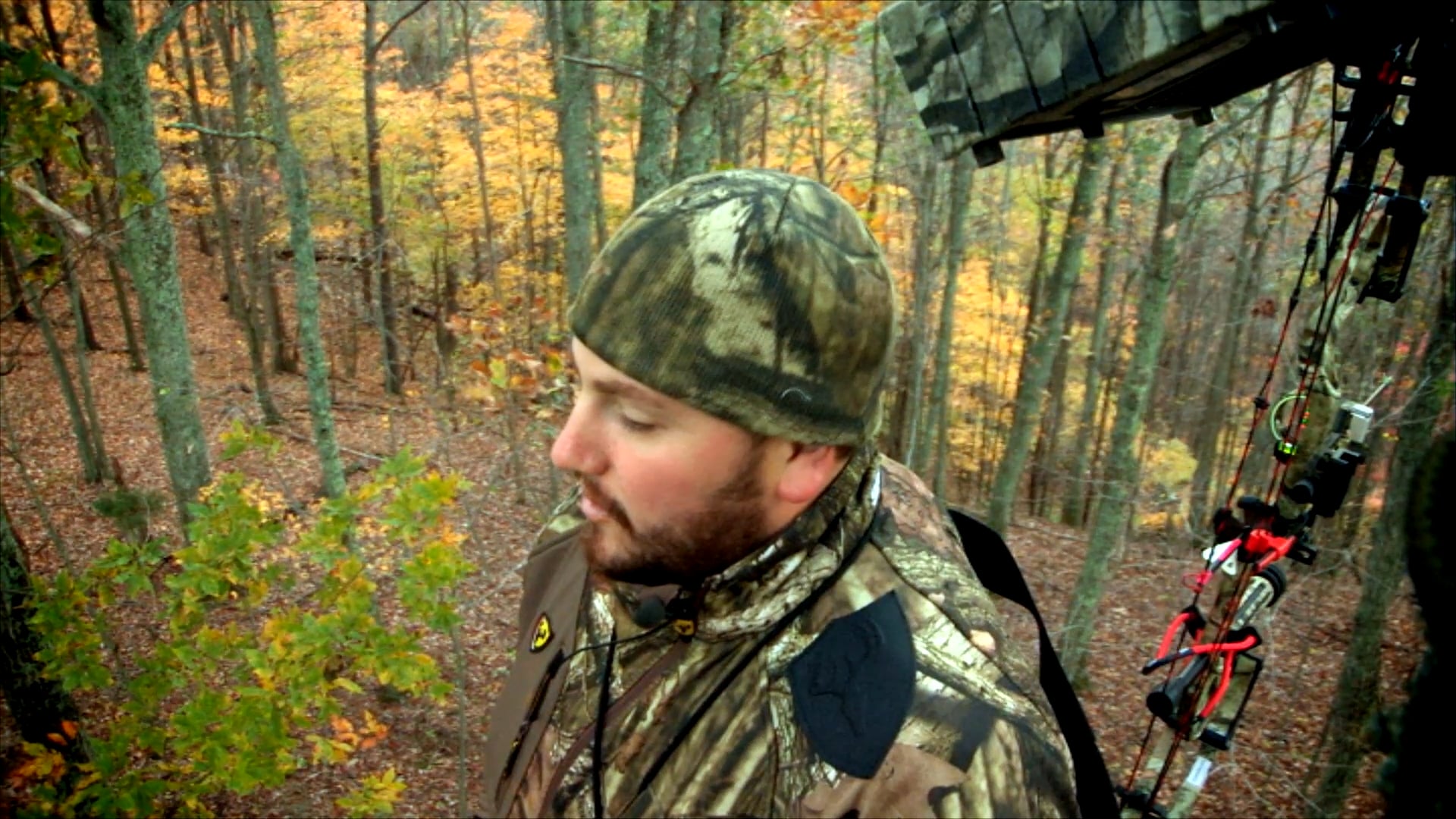 All Day Long • Patient Sits Pay Off in the Woods