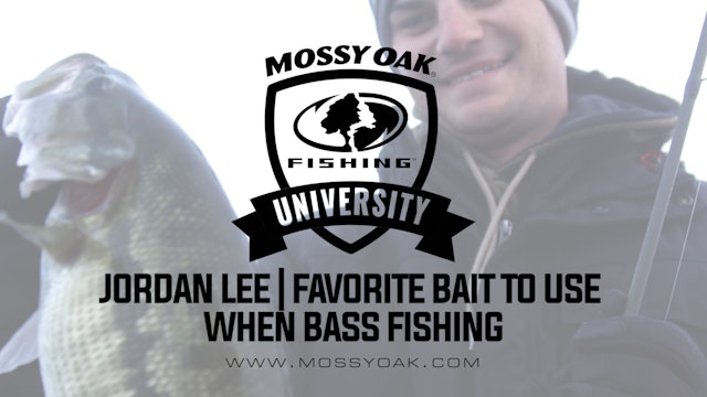 Favorite Bait To Use When Bass Fishing