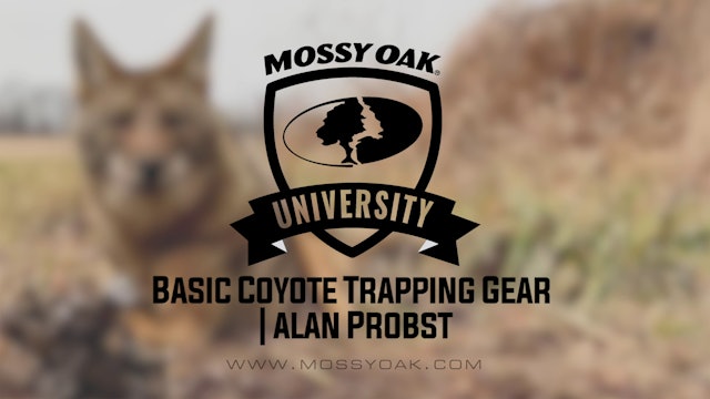 Basic Coyote Trapping Gear with Alan Probst