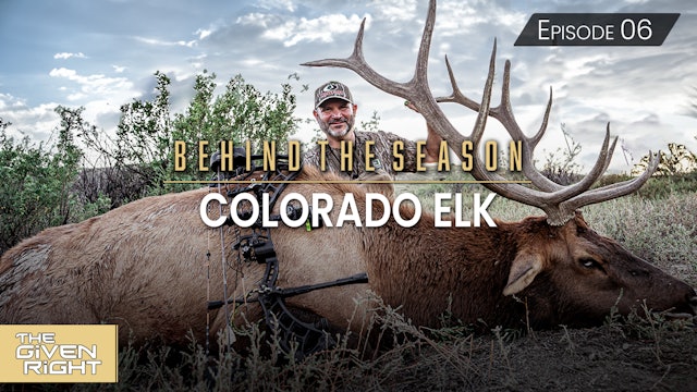 Colorado Elk • Behind the Season