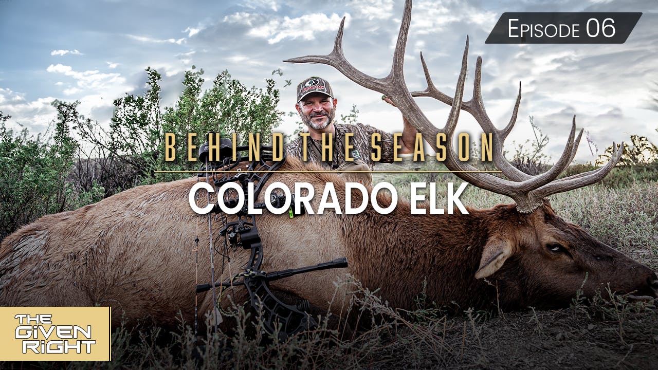 Elk Behind Colorado Elk • Behind the Season - Season 2 - Mossy Oak GO