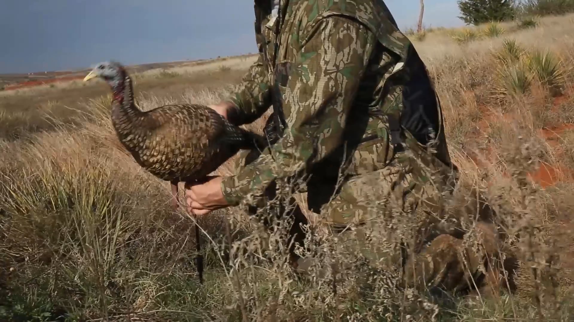 Rut N Strut PT 1 • Avian X