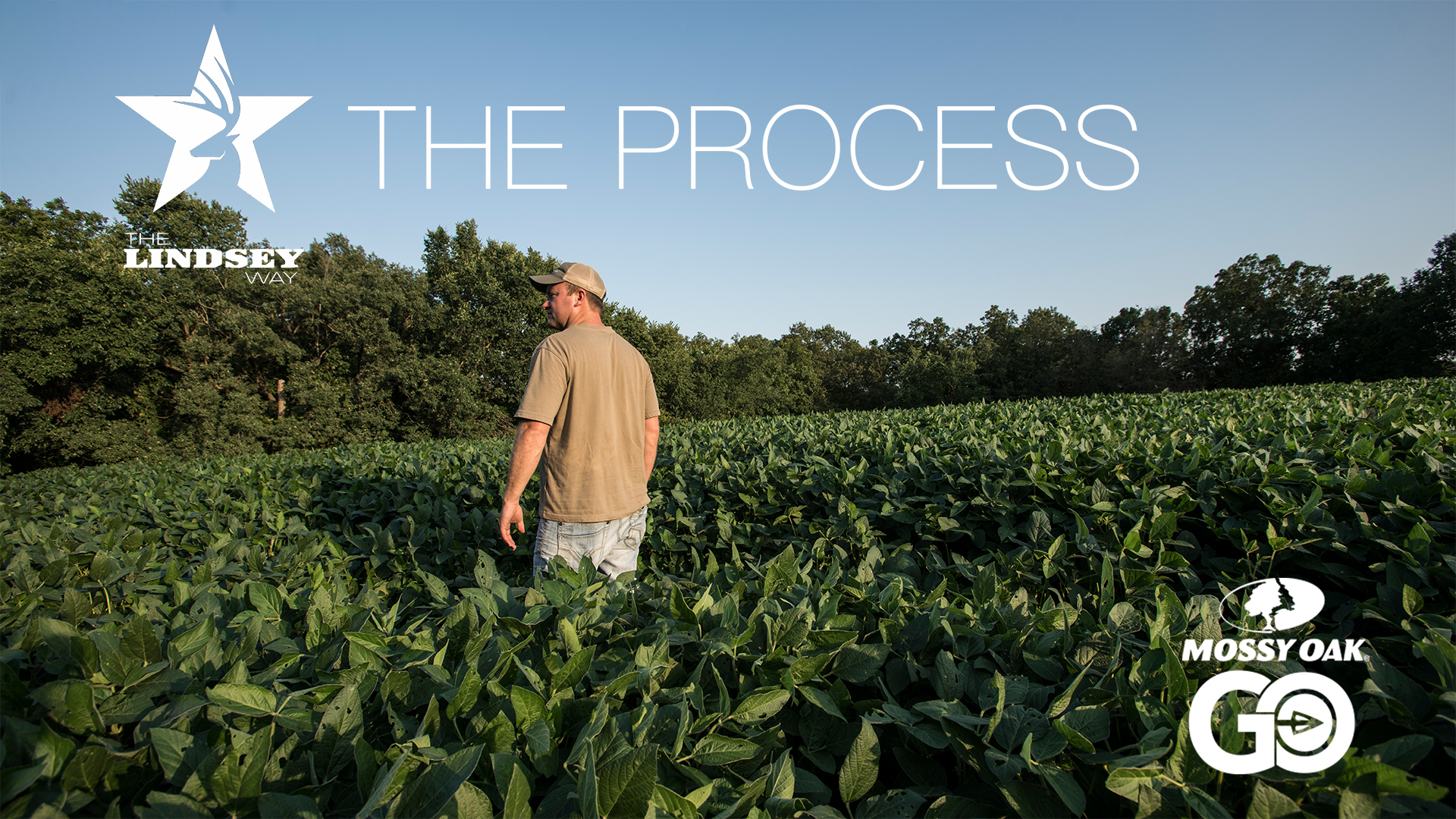 The Summer Grind • The Process