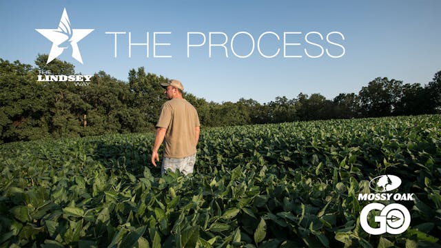 The Summer Grind • The Process