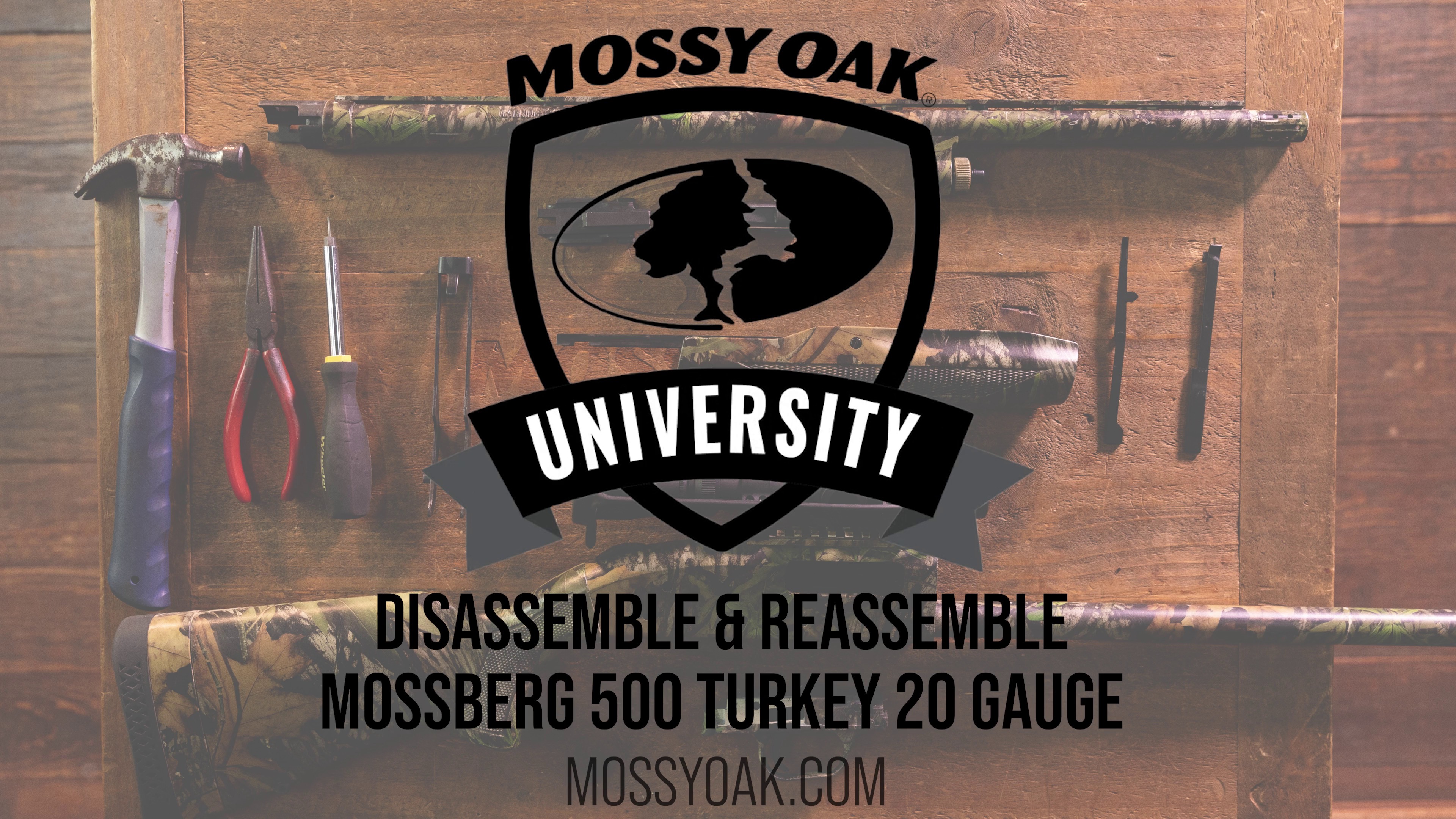 Mossberg 500 Turkey 20 Gauge Breakdown Guide