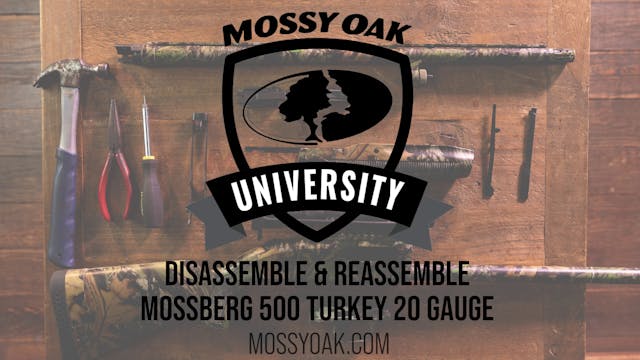 Mossberg 500 Turkey 20 Gauge Breakdow...