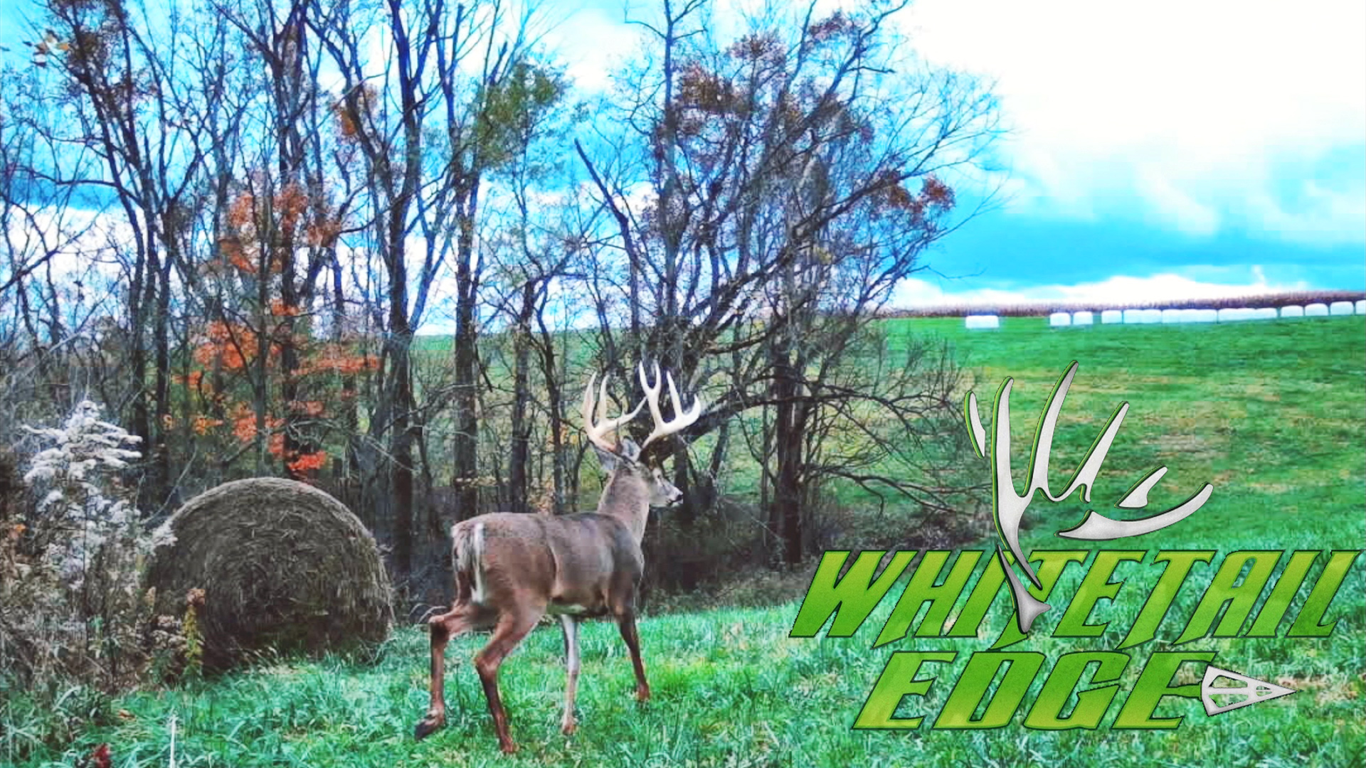 Tempo • Whitetail Edge