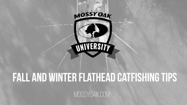 Fall and Winter Flathead Catfishing T...