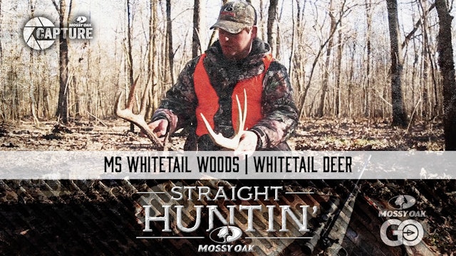 MS Whitetail Woods • Whitetail Deer • Straight Huntin'