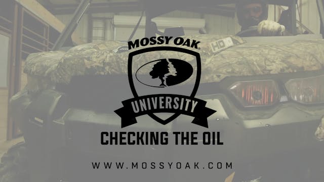 Checking ATV Oil