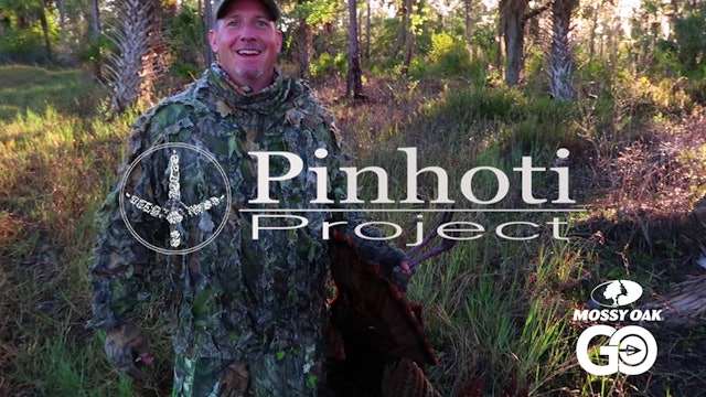Florida Panther While Hunting Osceola Turkeys • Pinhoti Project Day 6
