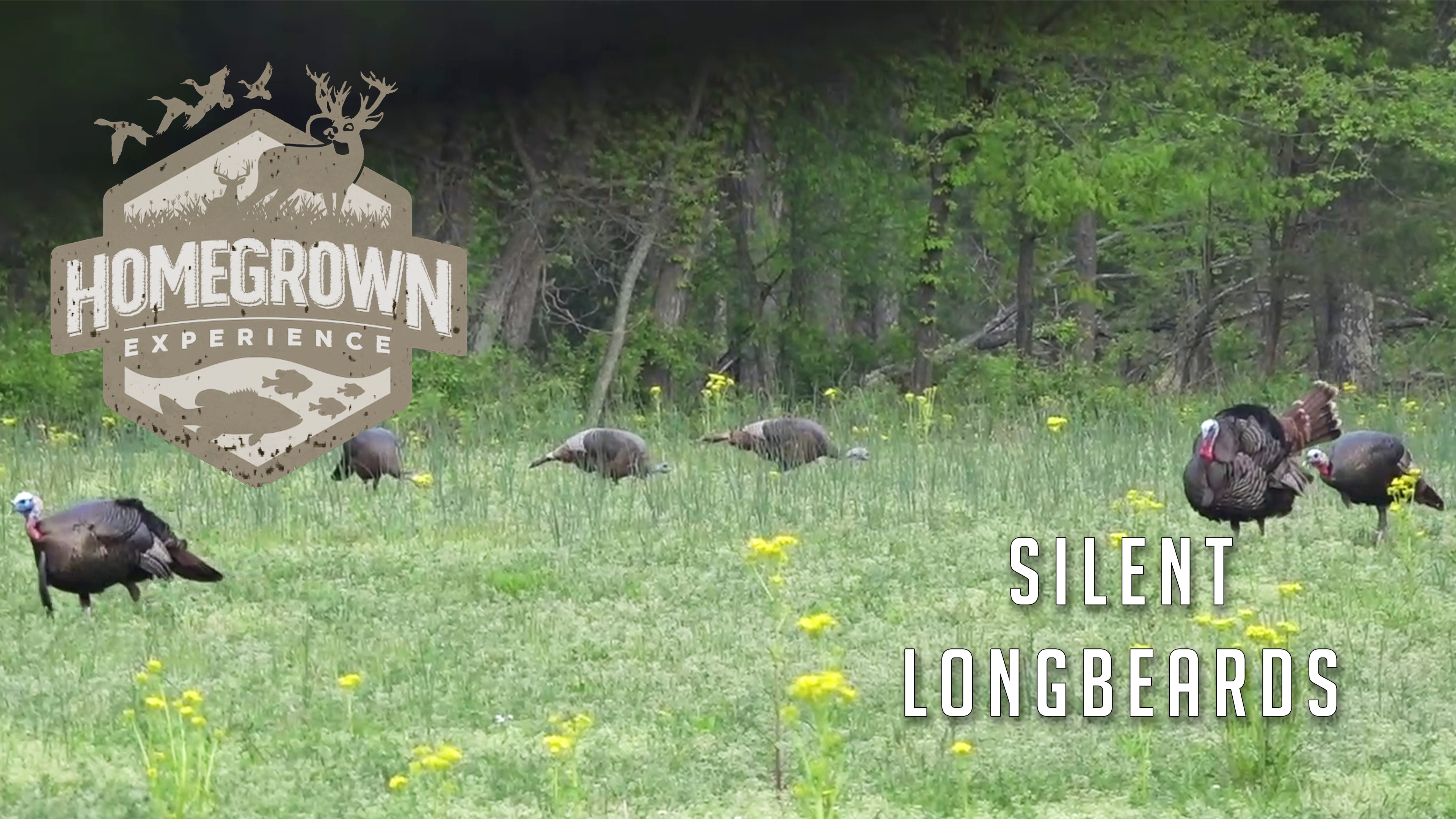 Homegrown Experience • Silent Long Beards