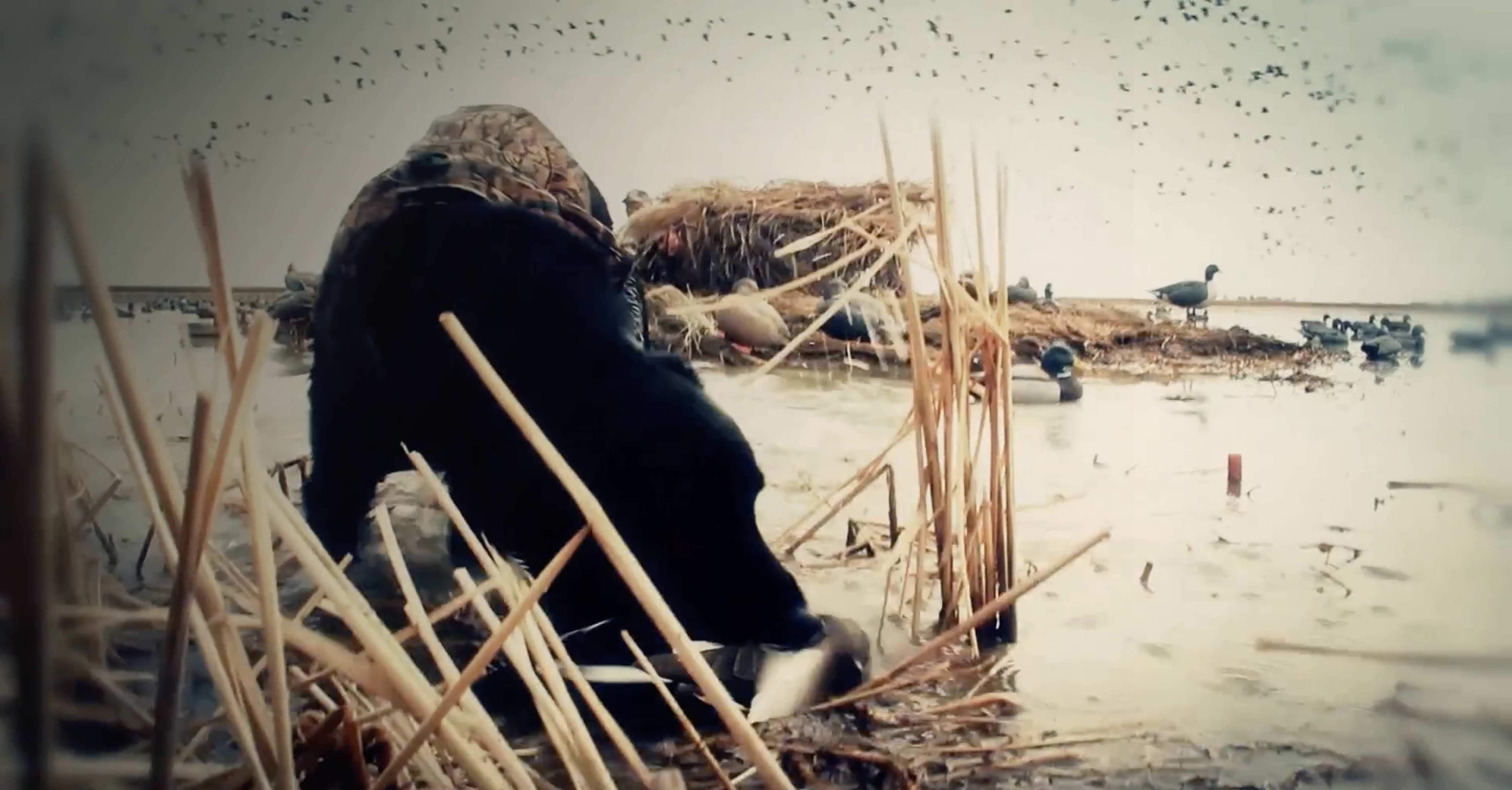 Canada Unchained  • DU TV