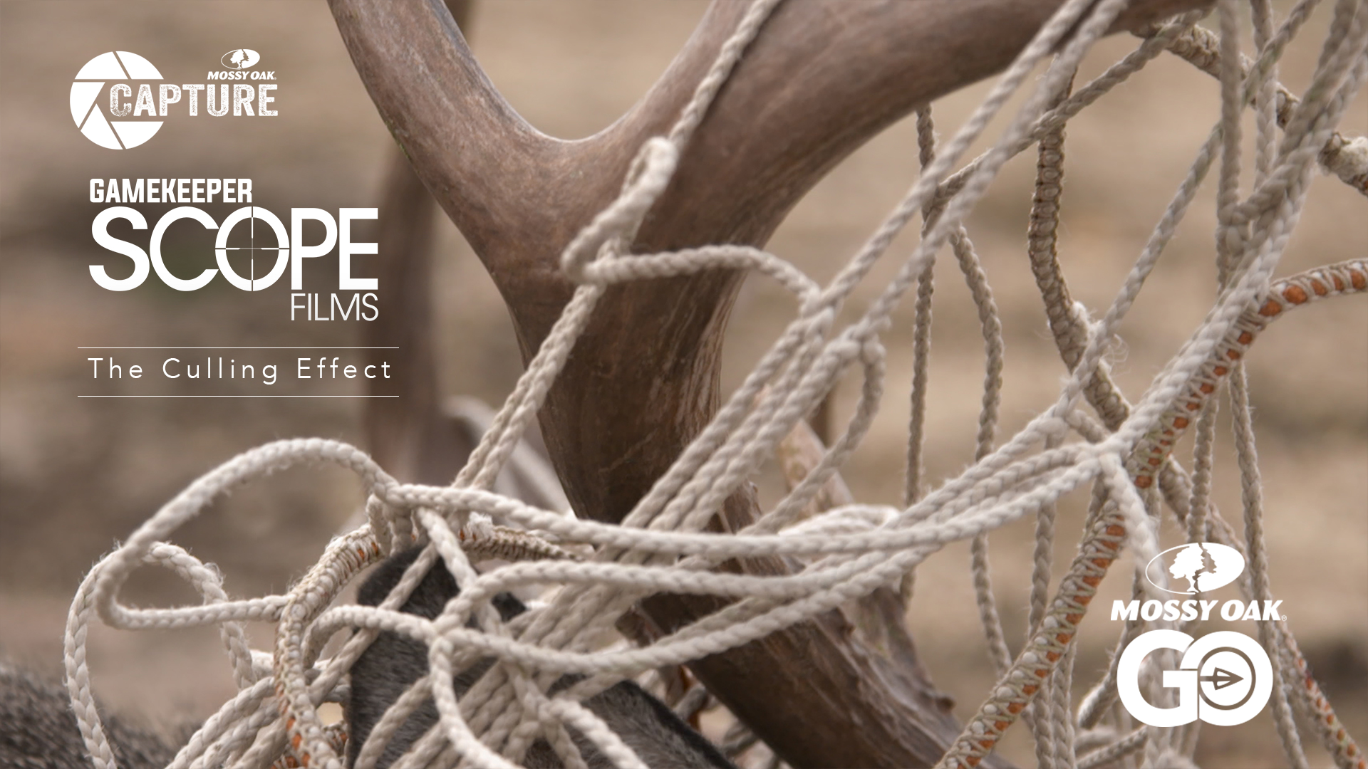 The Culling Effect • Gamekeeper Scope Films