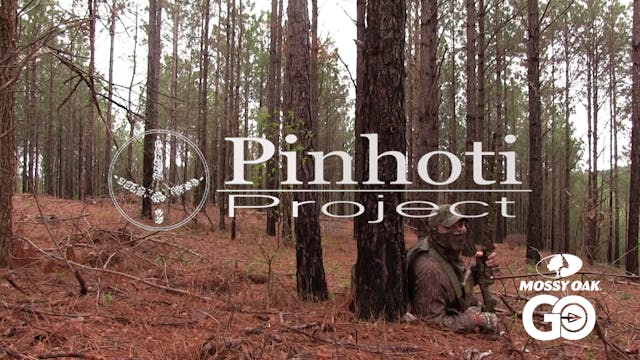 Turkey Hunting • The Slow Days • Pinh...