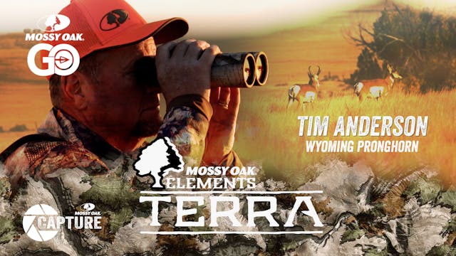 Tim Anderson Wyoming Pronghorn • Terra