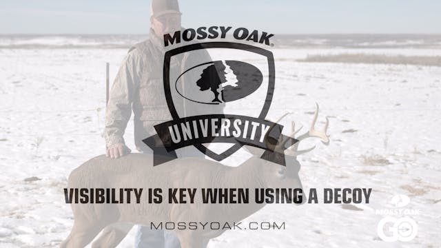 Visibility is Key • Mossy Oak University