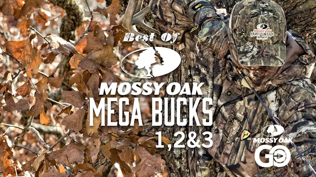 Best of Mega Bucks 123