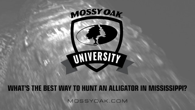 Best Way to Hunt Alligator in MS • Mossy Oak University